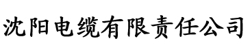 《洗屋先生》完整，马赛克电缆厂logo